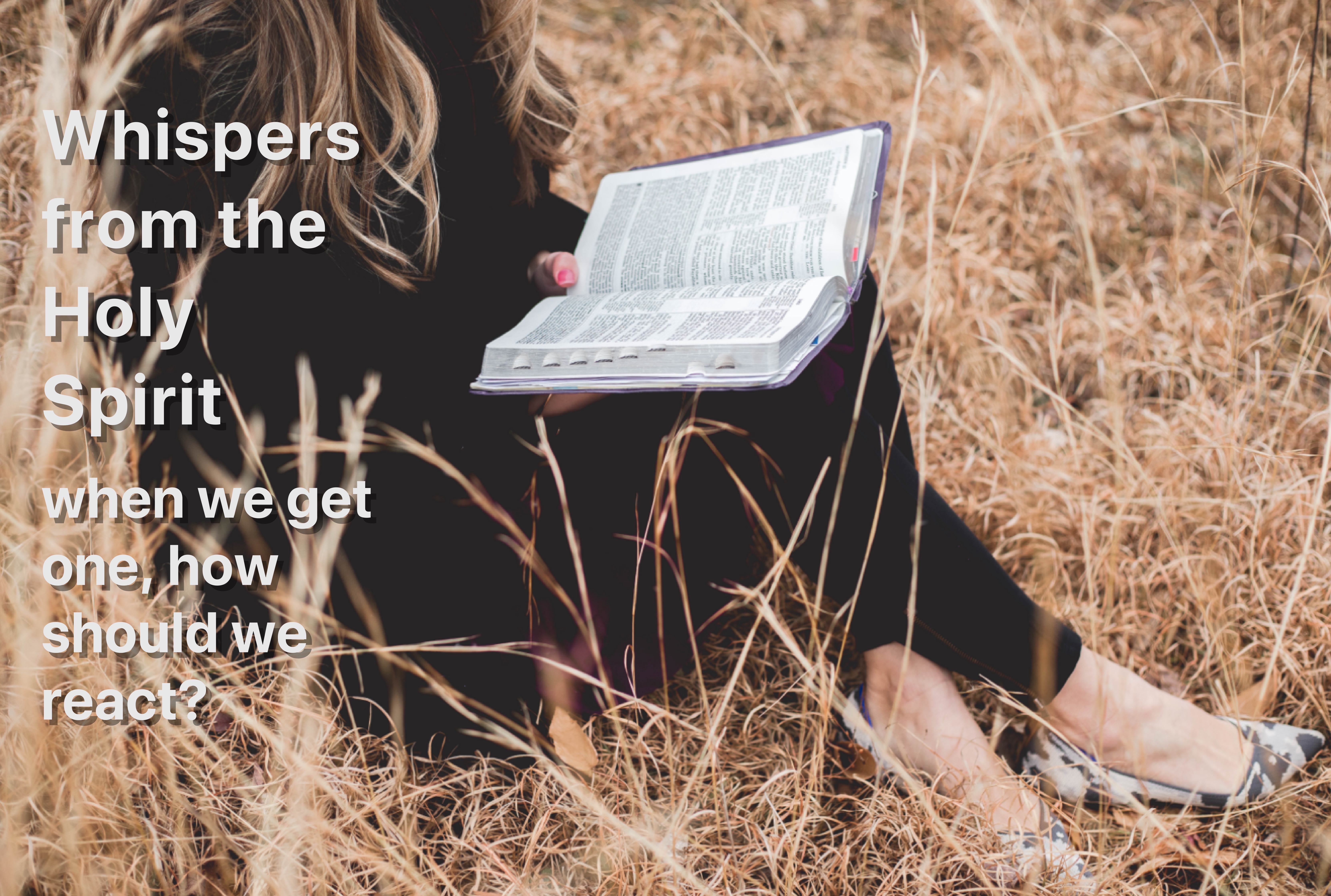 TiffanyShepherd-60_FotorwhispersI