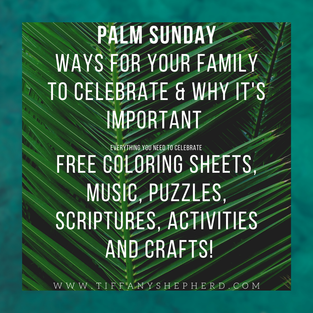 White Photo Tropical Palm Trees Summer Quote Instagram Post-2